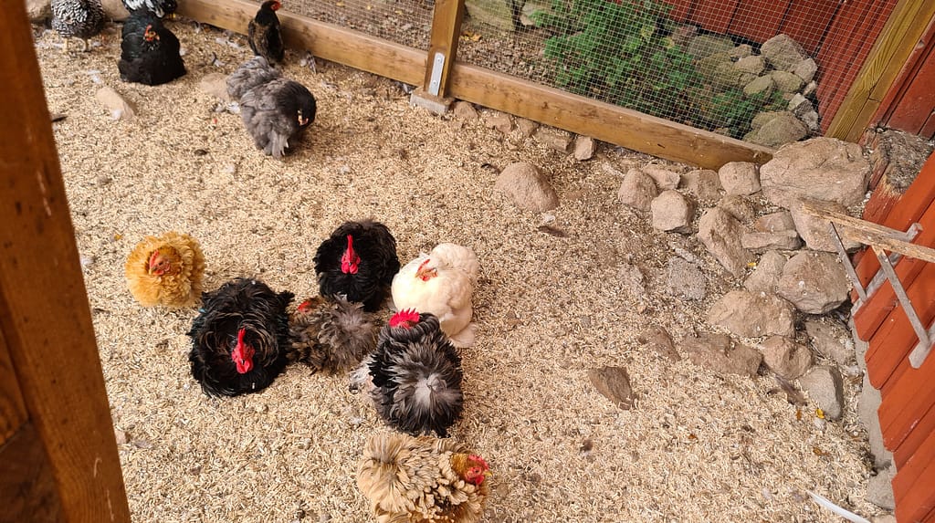 31. Ziel: Das Glasreich