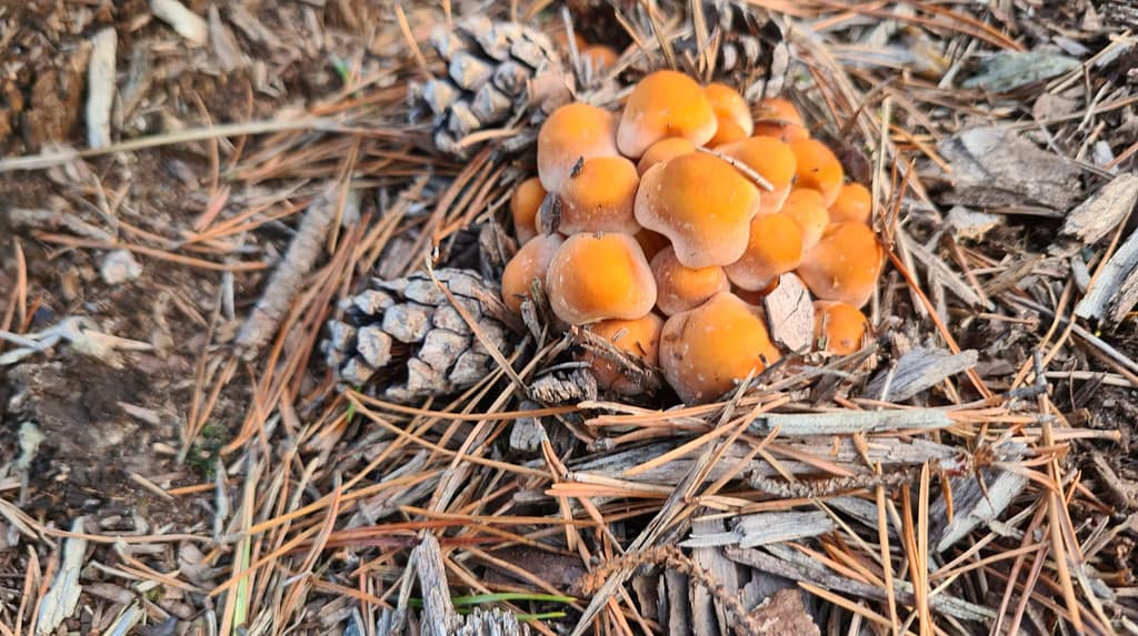 29. Ziel: Kåseberga & Karlskrona