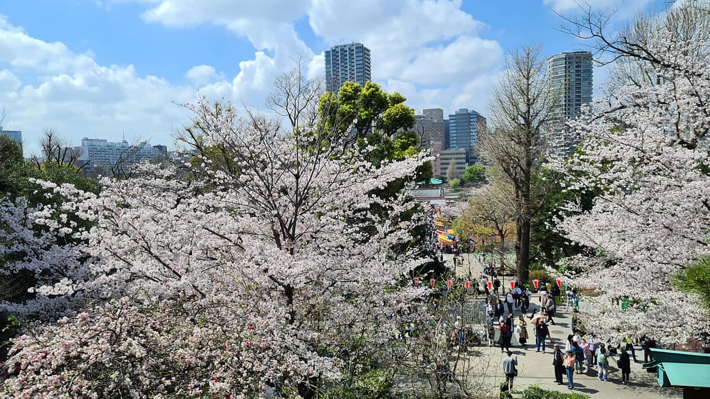Ueno Park