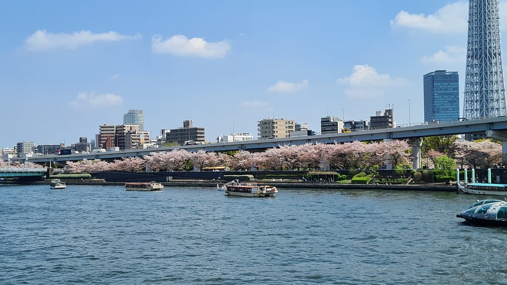 Blick vom Sumida Riverwalk