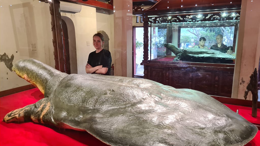 Die Riesenschildkröte (mit Julia als Vergleich)