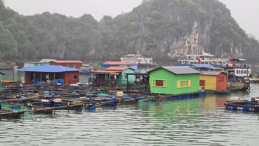 3Fischerdorf 10. Ziel: Cat Ba (Halong Bay)