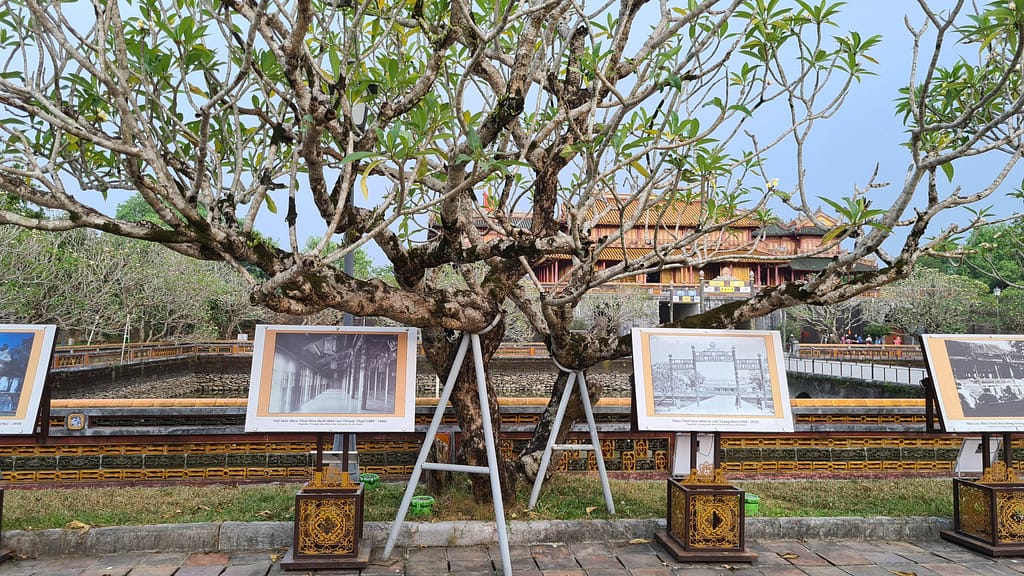 5Pictures 12. Ziel: Hue