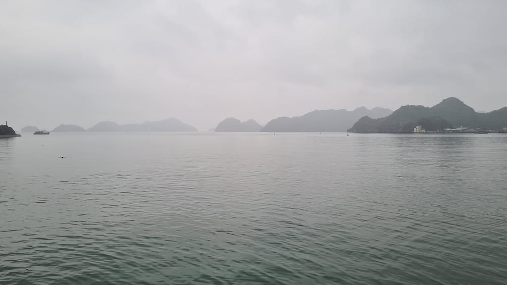 CatBa Hafen bei Nebel