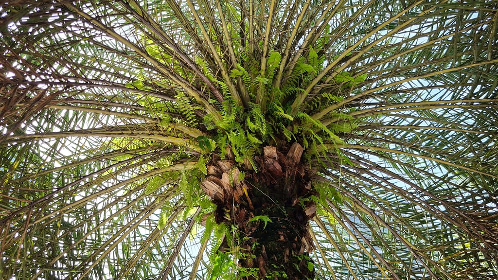 15. Ziel: Kuala Lumpur