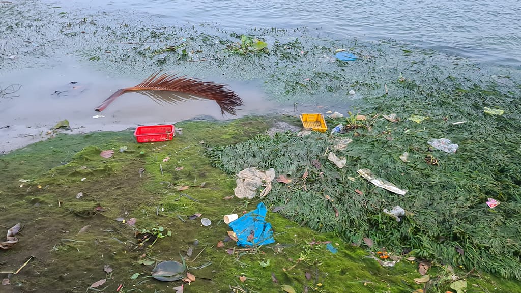 5trash 13. Ziel: Hoi An