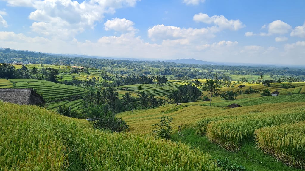 16.2 Ziel: Bali - Teil 2