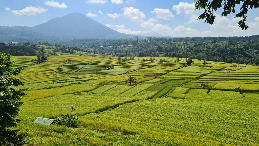 16.2 Ziel: Bali - Teil 2