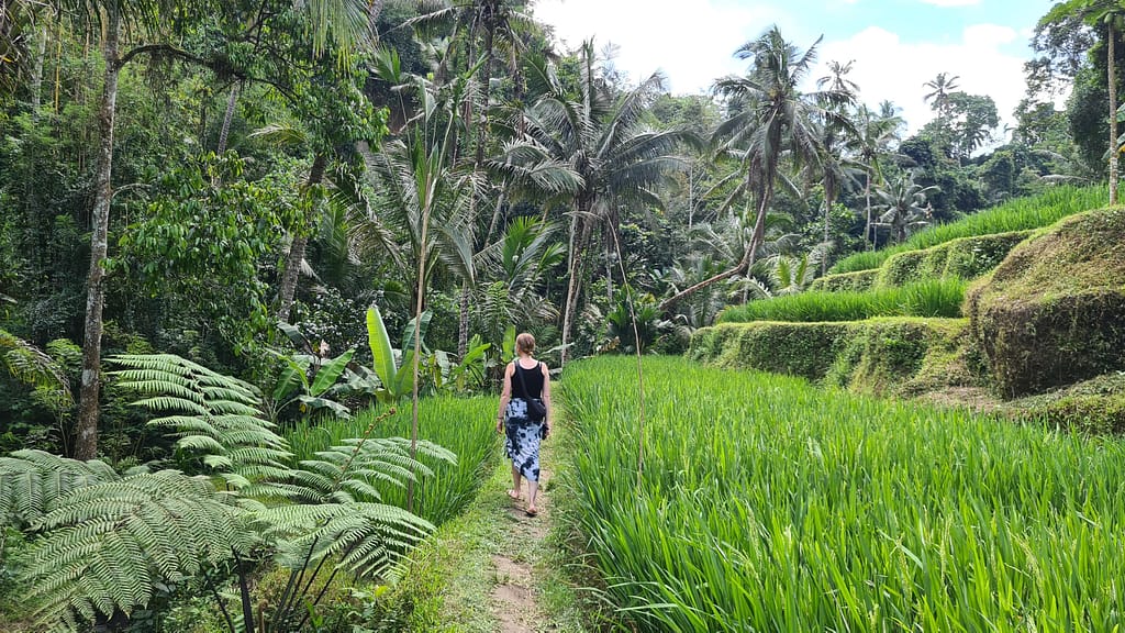 16.2 Ziel: Bali - Teil 2