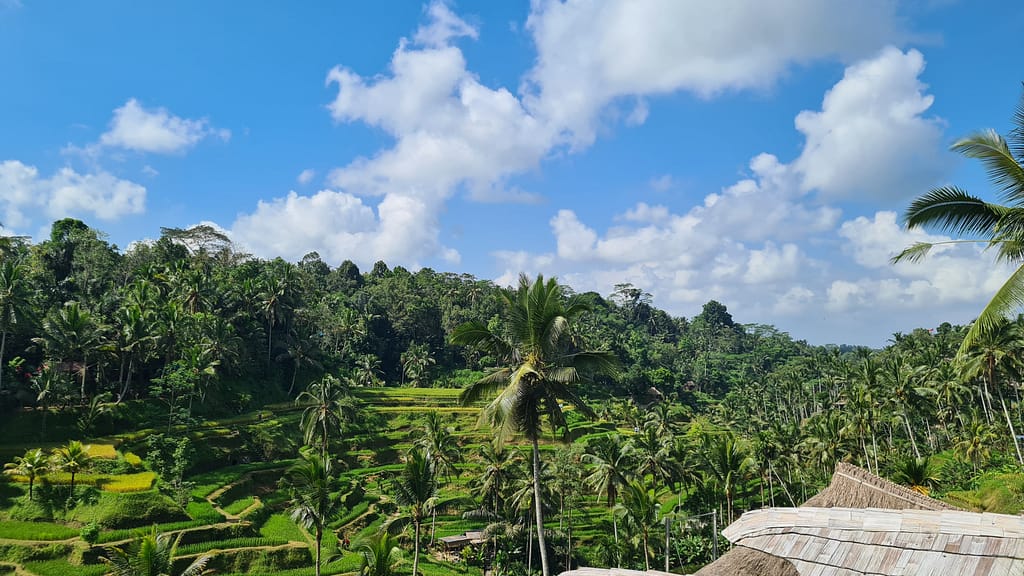 16.2 Ziel: Bali - Teil 2