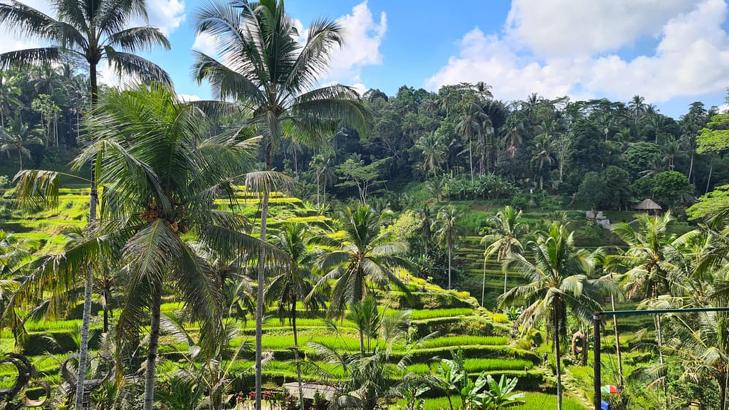 16.2 Ziel: Bali - Teil 2