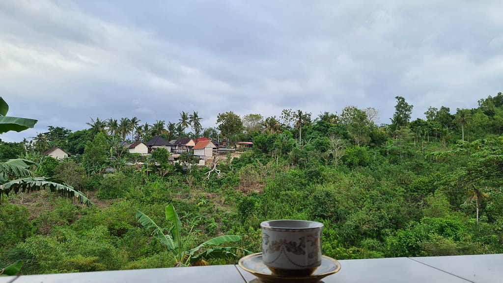 17. Ziel: Nusa Penida