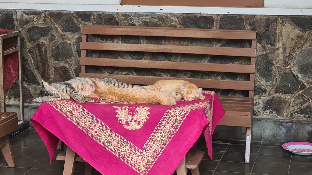 18. Ziel: Yogyakarta