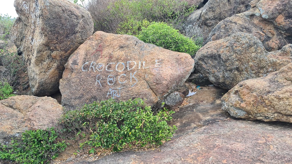 24. Ziel: Arugam Bay