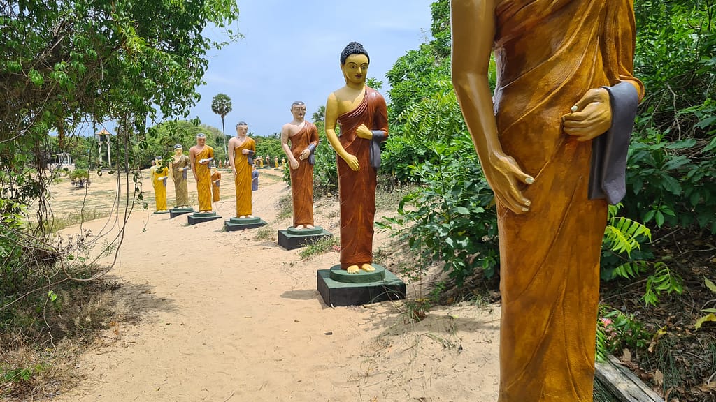 24. Ziel: Arugam Bay