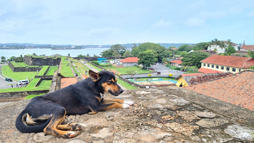 22. Ziel: Galle und Mirissa