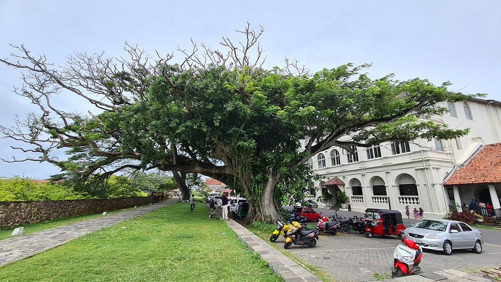 22. Ziel: Galle und Mirissa