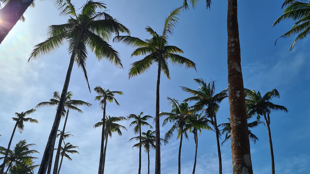 22. Ziel: Galle und Mirissa