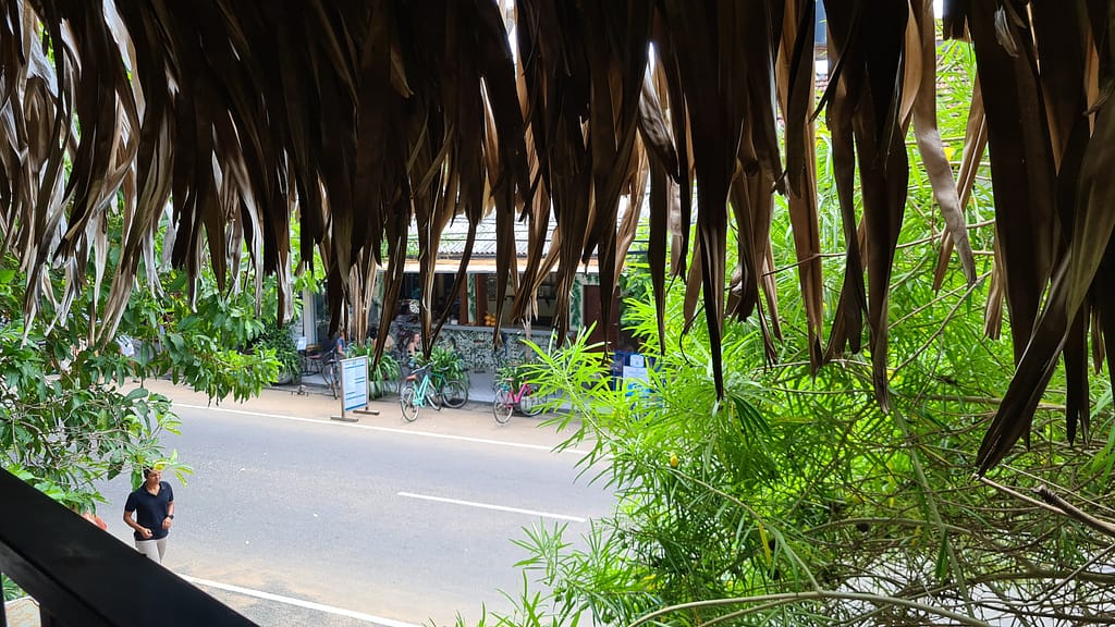 24. Ziel: Arugam Bay