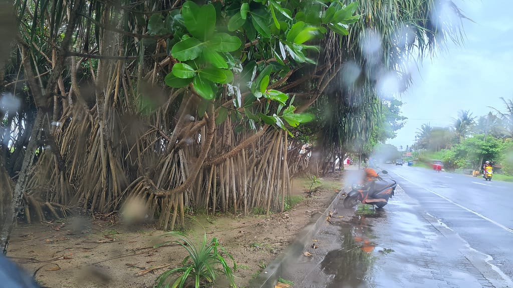 22. Ziel: Galle und Mirissa