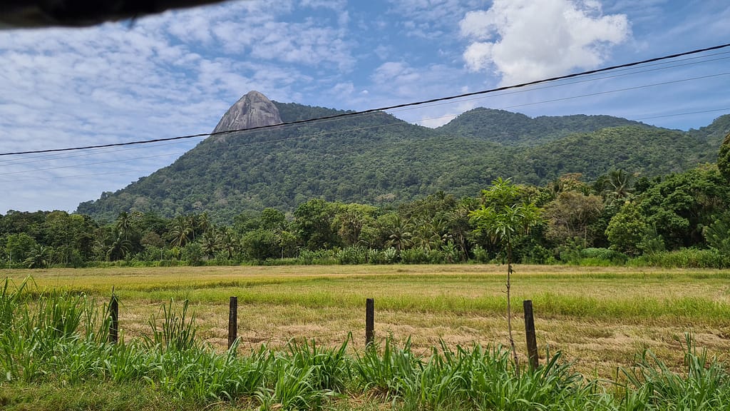 24. Ziel: Arugam Bay