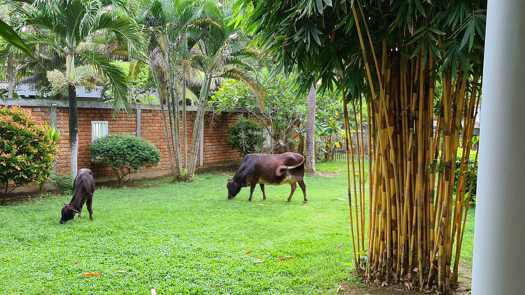 22. Ziel: Galle und Mirissa