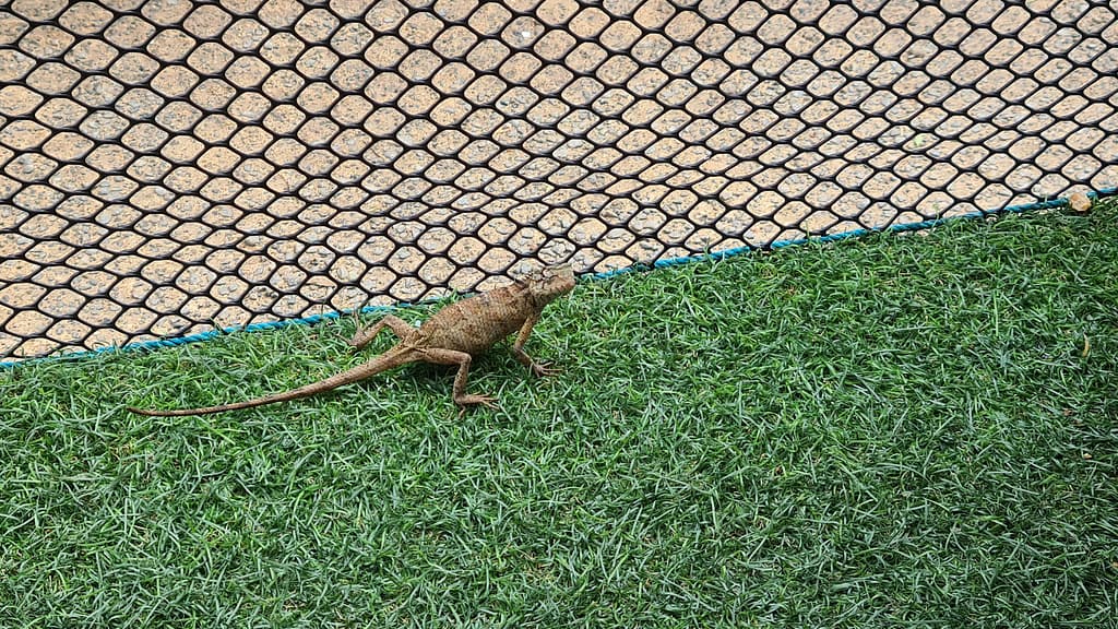 22. Ziel: Galle und Mirissa