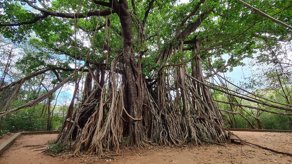 27. Ziel: Anuradhapura