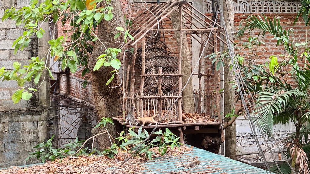 27. Ziel: Anuradhapura