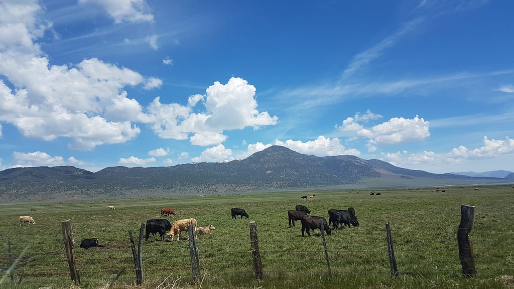 USA Roadtrip - Entlang der Westküste: Teil 2