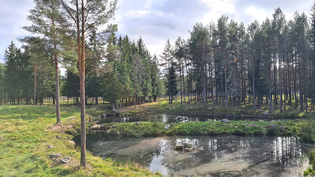 31. Ziel: Das Glasreich