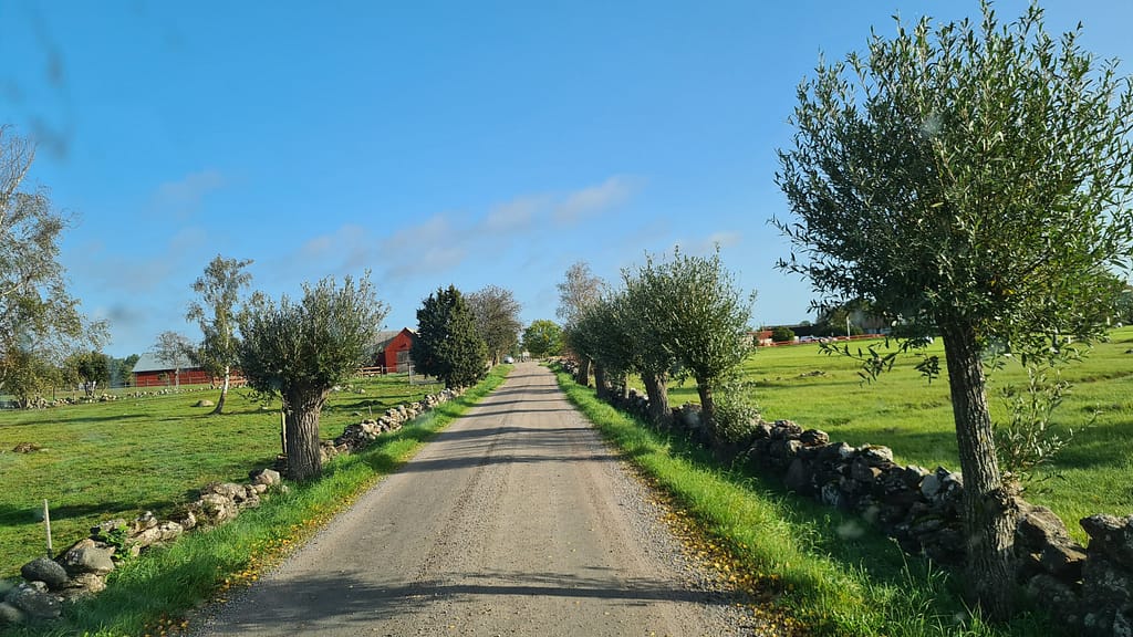 30. Ziel: Öland und Kalmar