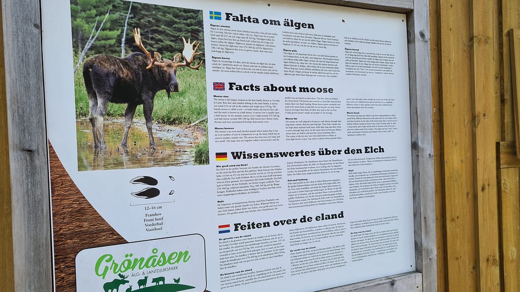 31. Ziel: Das Glasreich