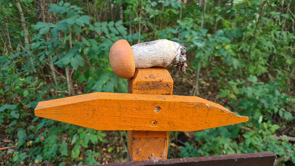 31. Ziel: Das Glasreich