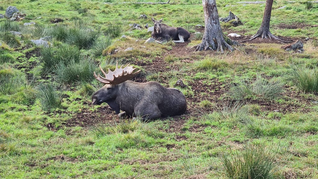 31. Ziel: Das Glasreich