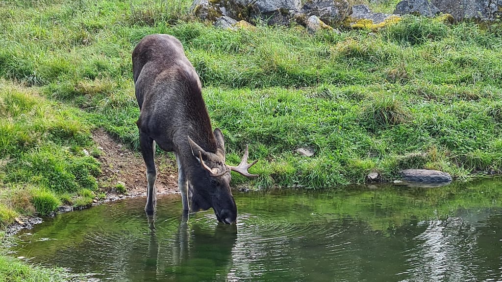 31. Ziel: Das Glasreich