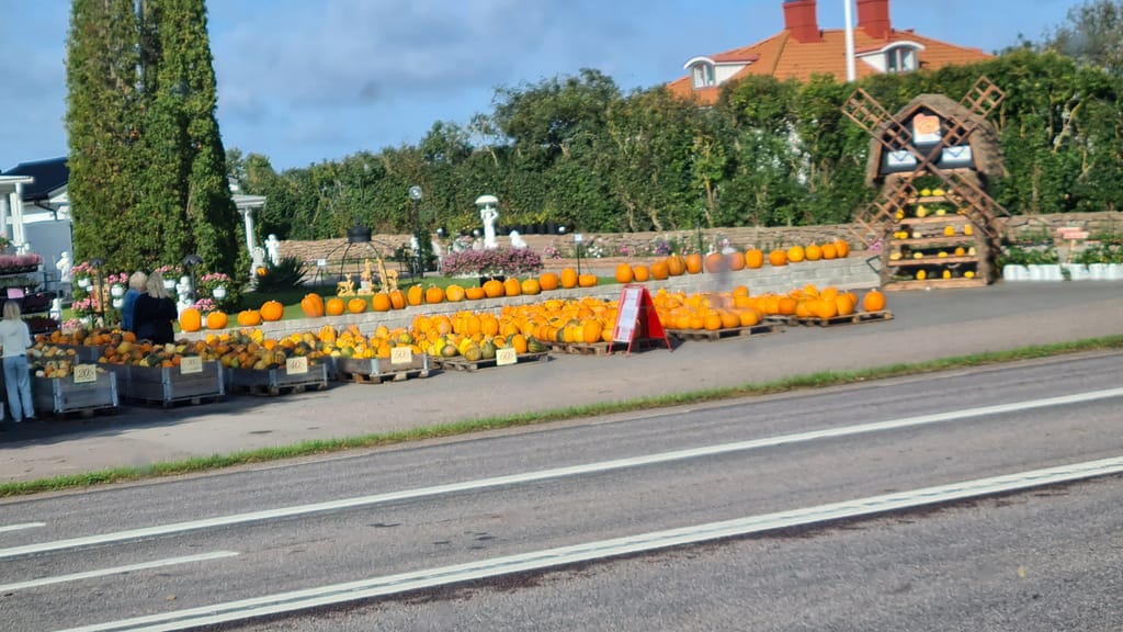 30. Ziel: Öland und Kalmar