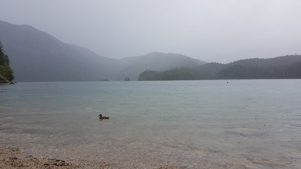 Der Eibsee - Ein Tagesausflug