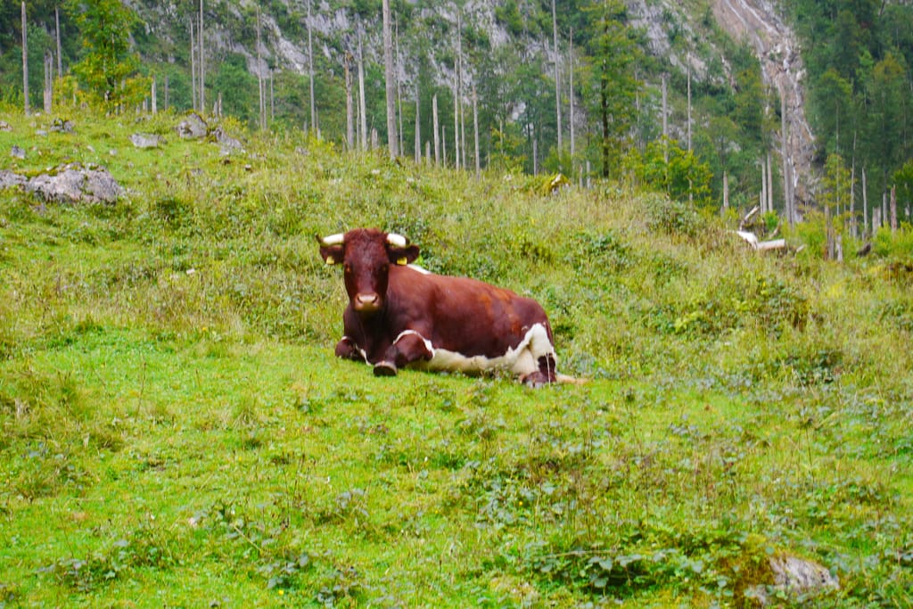 Nationalpark Berchtesgaden