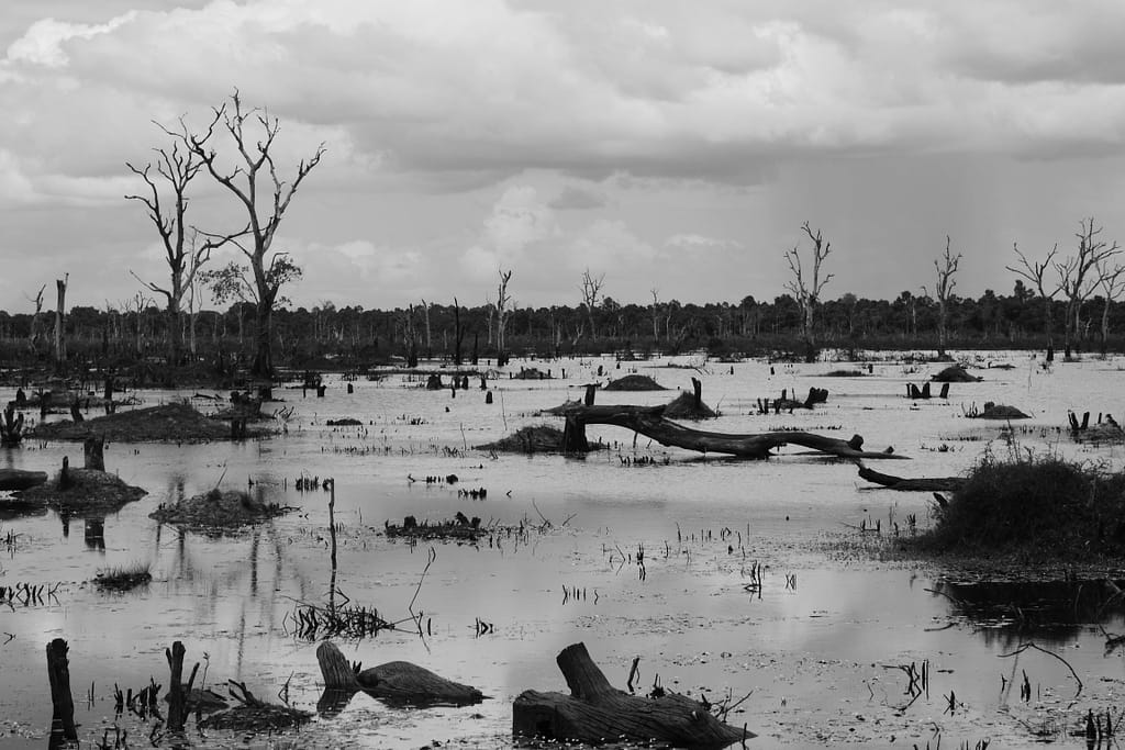 Angkor Wat: Kambodschas antike Tempelstadt