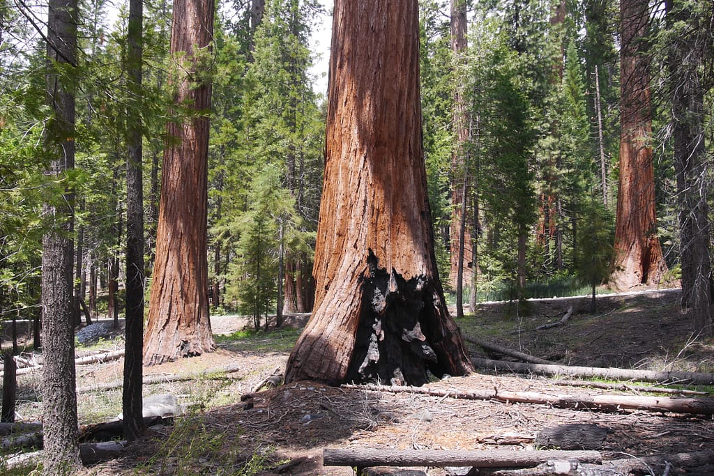 USA Roadtrip - Entlang der Westküste: Teil 2