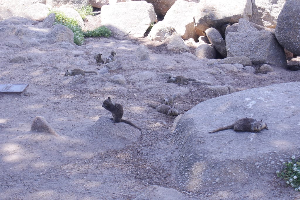 USA Roadtrip: Entlang der Westküste - Teil 4