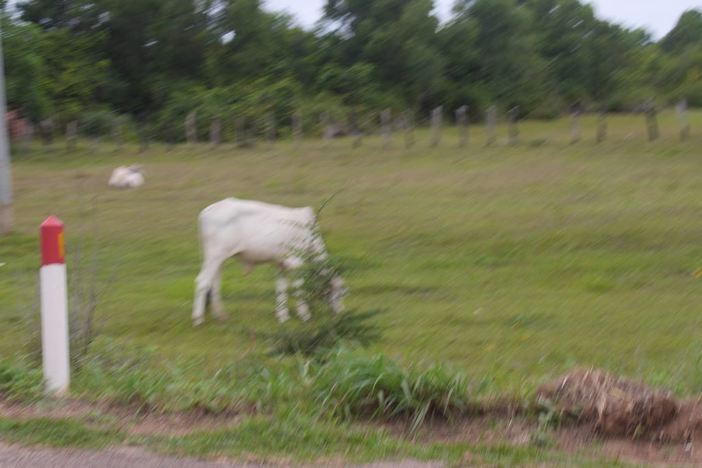 Angkor Wat: Kambodschas antike Tempelstadt
