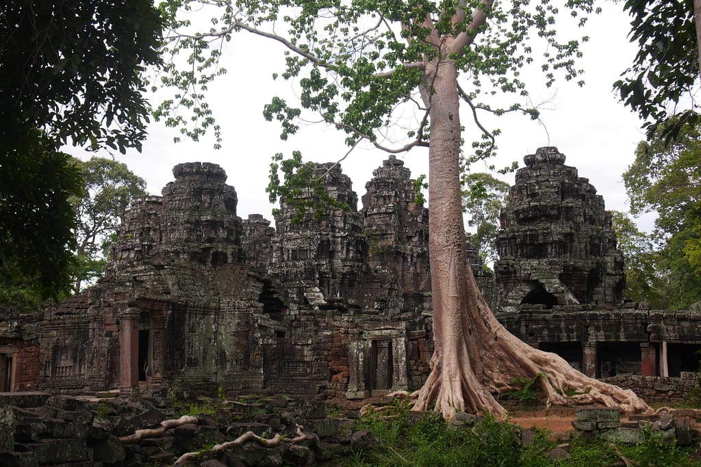 Angkor Wat: Kambodschas antike Tempelstadt