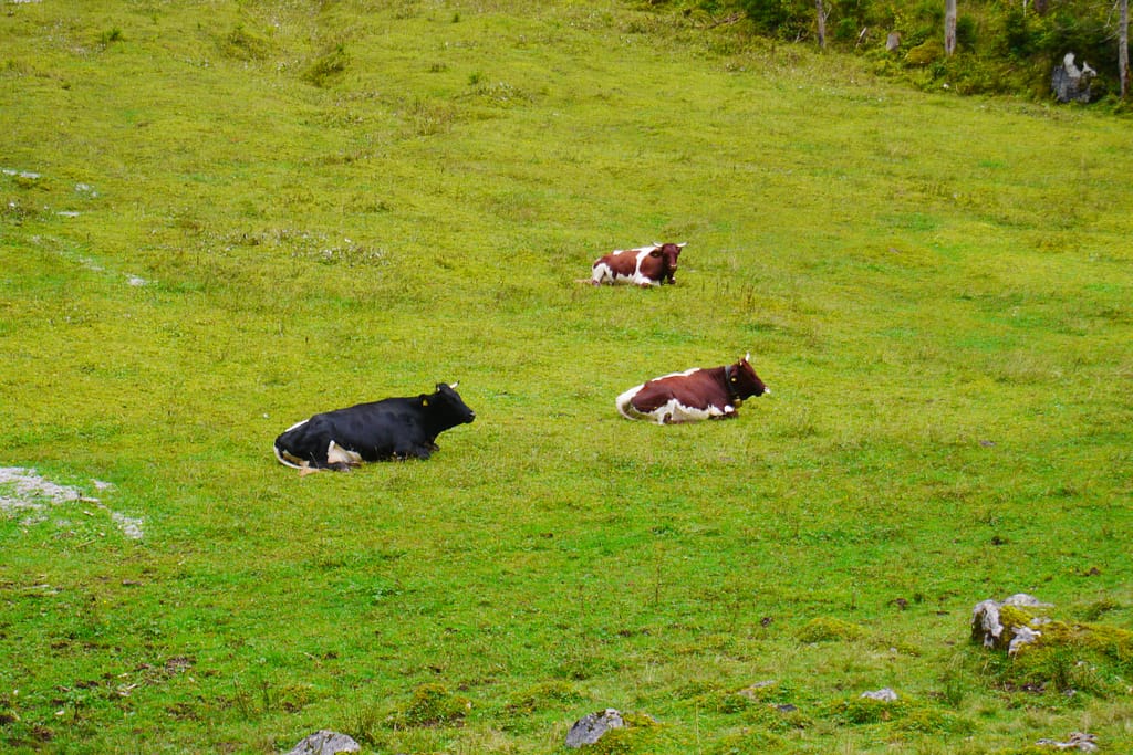 Nationalpark Berchtesgaden