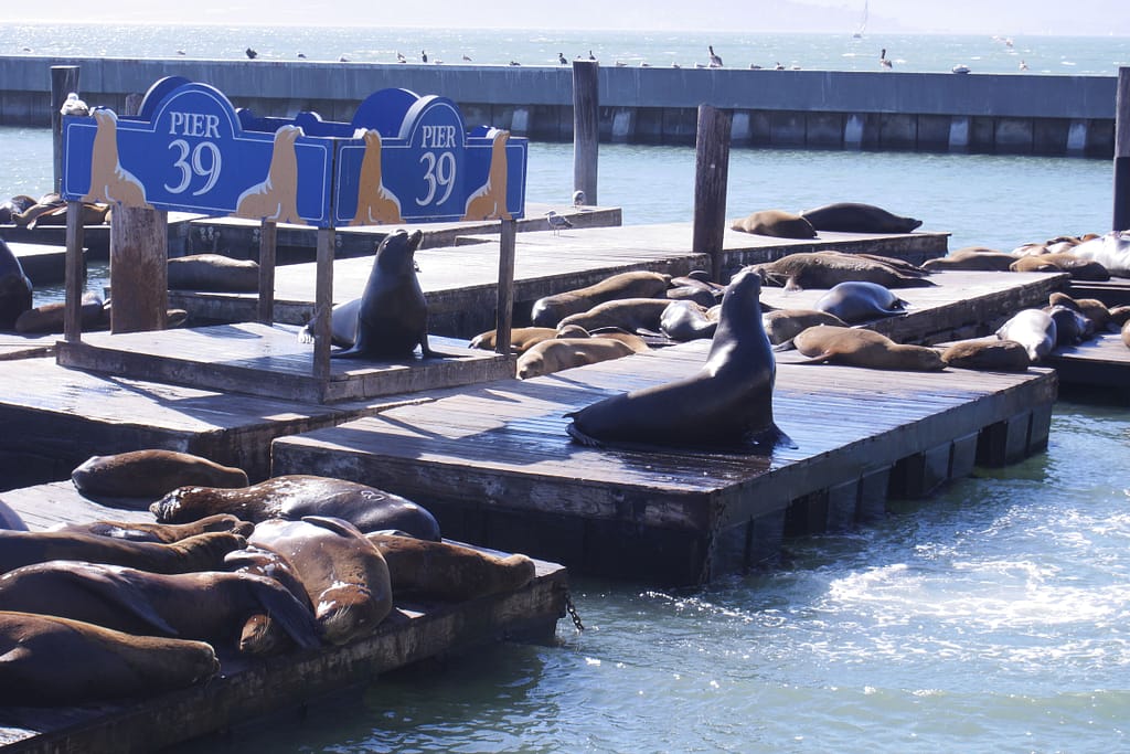 USA Roadtrip - Entlang der Westküste: Teil 3