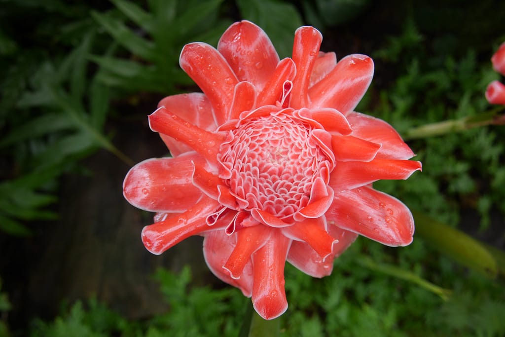 Singapurs Sehenswürdigkeiten