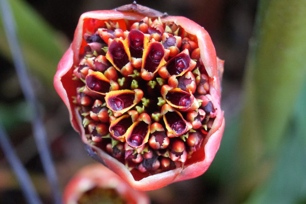 Singapurs Sehenswürdigkeiten