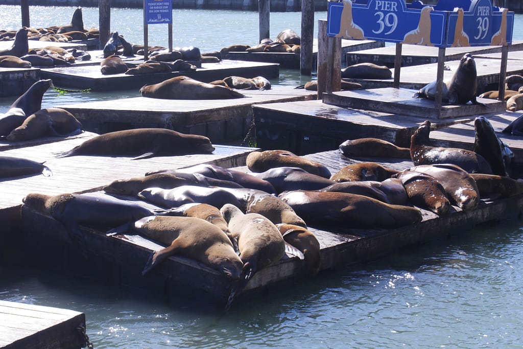 USA Roadtrip - Entlang der Westküste: Teil 3