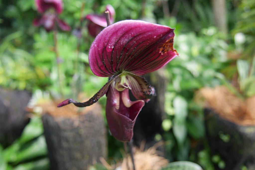 Singapurs Sehenswürdigkeiten